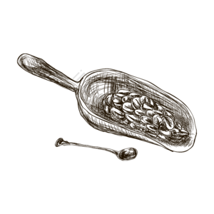 手绘 黑白 咖啡 线描 咖啡豆 插画 元素