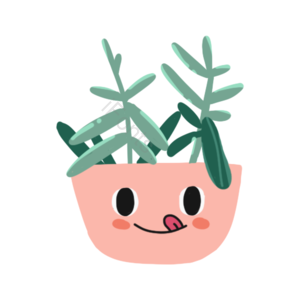叶子 春天 植物 套图 花草 简约 清新 素材