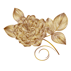 花呗 线稿线描 金丝花卉 画线厂 手绘竽 叶 花卉剪贴画 叶剪贴画