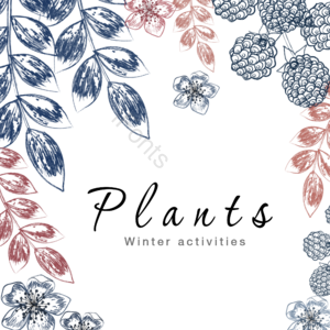 叶子 草图 线条 植物 框架 科 冬季 手绘