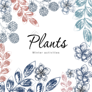 叶子 乔治·莫兰迪 草图 线条 手绘 科 框架 植物