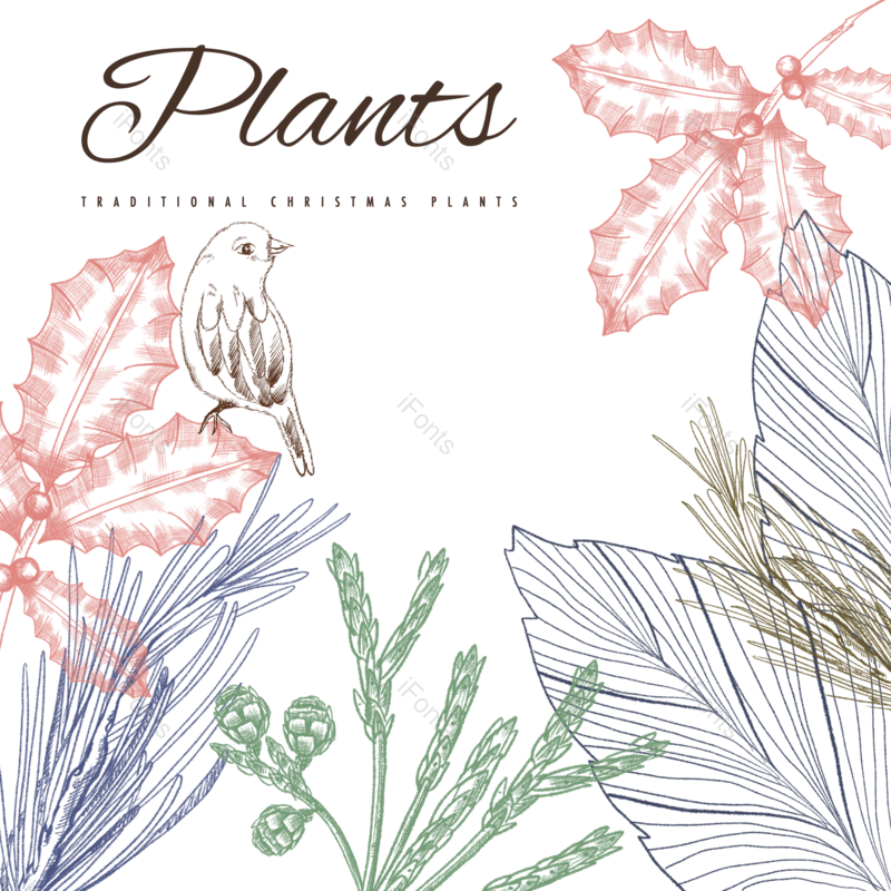 植物图片,手绘元素,PNG,免抠素材