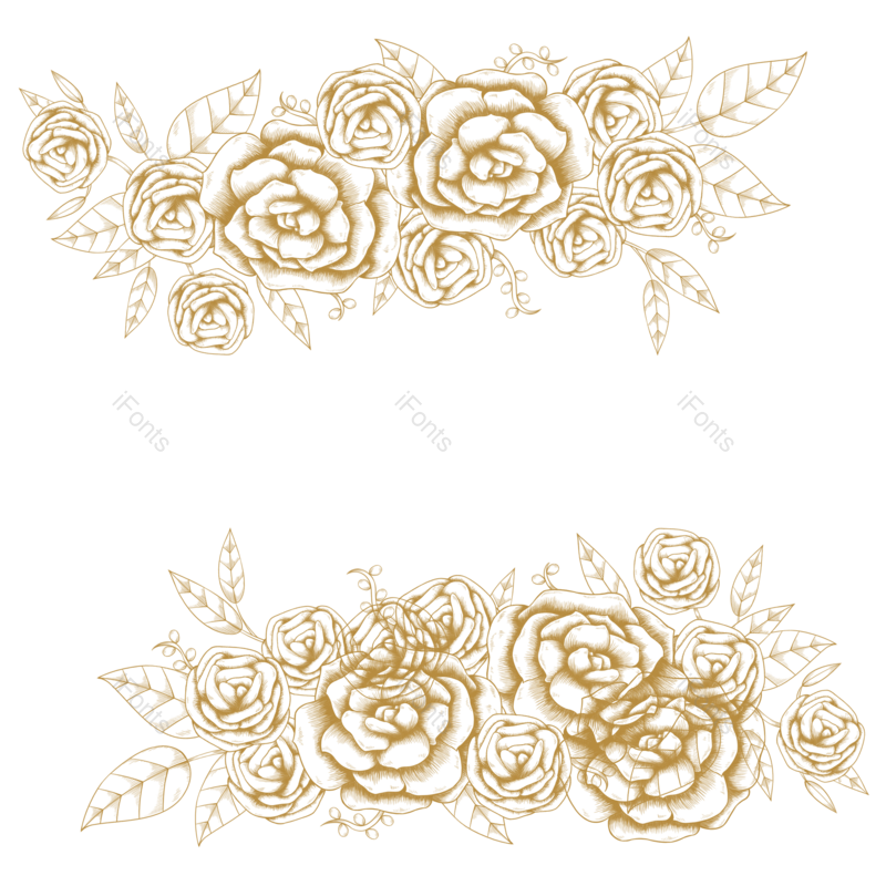 叶子图片,装饰元素,线条PNG,玫瑰免抠素材
