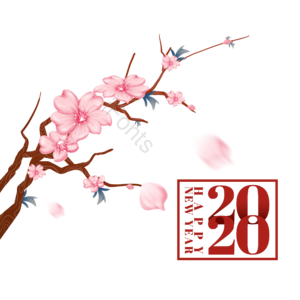 中国 粉色 花 花瓣 桃花 植物 春天 立春