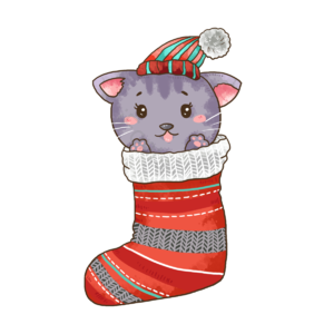 红色 灰色猫咪 猫咪 圣诞 圣诞节 节日 开心 圣诞老人