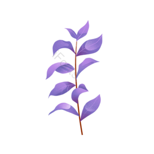 热带植物 紫色树叶 树叶 绿色 叶子 手绘树叶 热带叶子