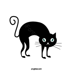 猫咪 黑色猫咪 黑猫 万圣节 惊悚猫 万圣节猫 卡通猫咪