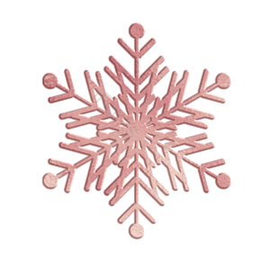 白色 冬天 冬天 寒冷的 第一次霜冻 寒冷的天气 雪花 雨