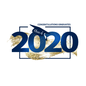 2020年 花式英文字体 金粉 金色的笔触 年份 梯度 帧 单身汉
