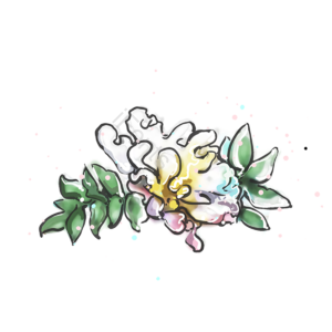 彩色花朵 手绘花朵 玫瑰 卡通花朵 花朵装饰 花朵边框 黄色花朵 鲜花