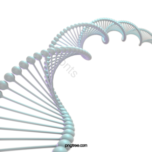 DNA 基因 医学 医疗保健 三维 健康的 白色 序列