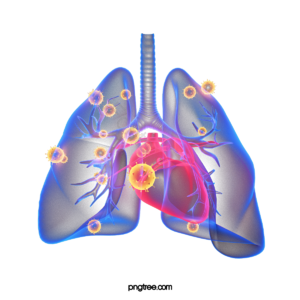 x-ray 透视图 红色 蓝色 肺炎防疫肺炎 病发 健康的 医疗护理