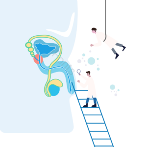 器官 梯子 医学 研究 医生 技术 设备 卡通