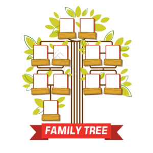 家庭式 family tree 家谱 家庭关系 树 相框 手绘