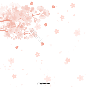 粉色 樱花 花朵 浪漫 春天 花瓣 飞舞 温柔