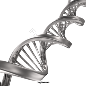 金属的 DNA 三维 玻璃质地 立体视觉 基因 序列 医学