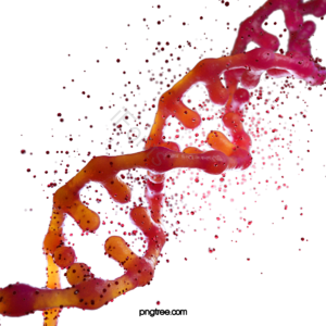 红色 橙色 DNA 三维 立体视觉 基因 序列 医学