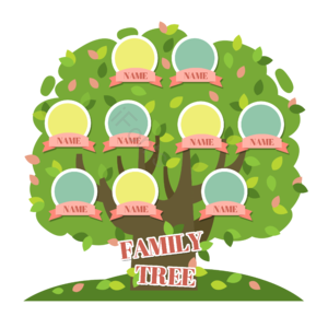 家庭树 family tree 大树 家谱 家庭成员 关系 相框