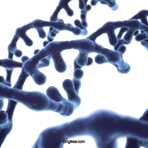 DNA 三维 蓝色 梯度 基因 序列 研究 医疗保健