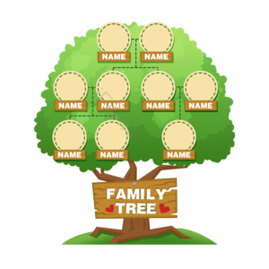 family tree 家族树 家庭成员 关系 相框 大树 绿色