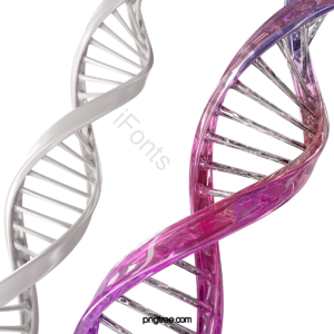 DNA 三维 序列 基因 研究 医学 白色 粉红色