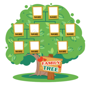 家谱 手绘竽 contact 树 famliy tree 绿色 大树