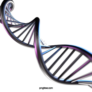 DNA 金属的 黑色 基因 序列 研究 医学 三维