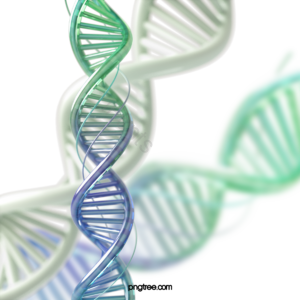DNA 基因 序列 医学 三维 研究 立体视觉 梯度