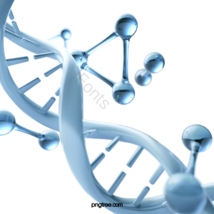 三维 DNA 立体视觉 基因 序列 医学 研究 分子