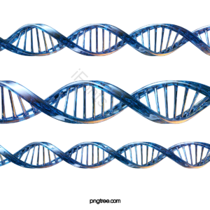 DNA 蓝色 序列 基因 医学 研究 三维 立体视觉
