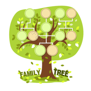 家族树 家庭树 树 绿色 family tree 家谱 家庭关系