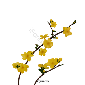 植物 花呗 春天立春 芽 分行 黄色 活力 花瓣