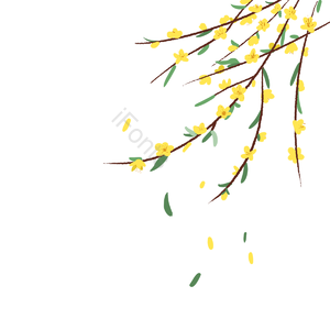 春 春天 立春 植物 迎春花 花 风 春风