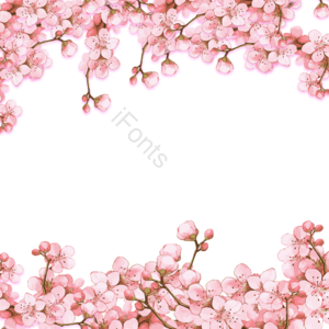 樱花 簇花 植物 手绘 粉 美丽 稠密 装饰
