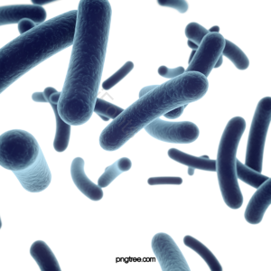 微生物 细胞 立体 医学 科学 分子 3d 蓝色