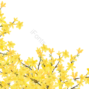 手绘 黄色 春 春天 立春 花丛 花卉 植物