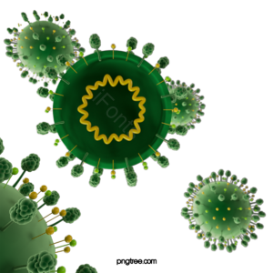 绿色 剖面 立体 冠状病毒 病毒 2019-ncov corona virus