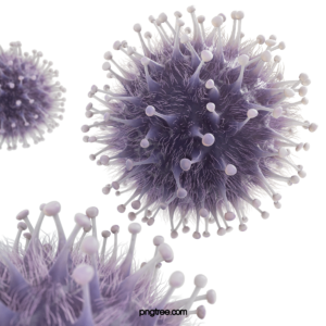 紫色 冠状病毒 疾病 医疗 研究 3d 立体 covid-19