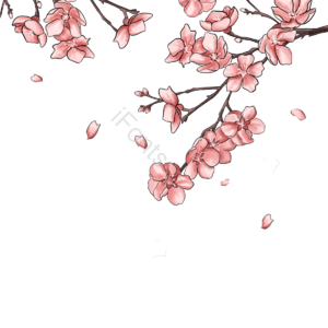 樱花雨 枝干 桃花 花苞 花瓣 芳香 唯美 手绘