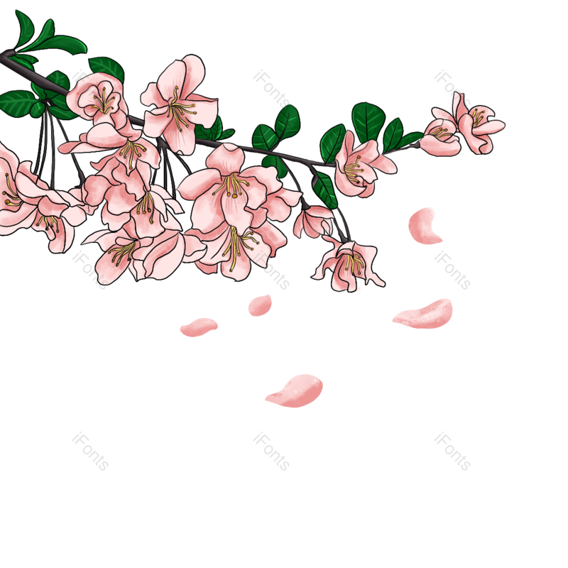 唯美图片,浪漫元素,树叶PNG,树枝免抠素材