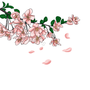 树叶 树枝 粉色 浪漫 飘荡 唯美 樱花 手绘