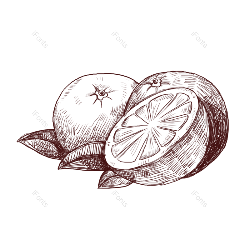 卡通插画图片,水果元素,美味PNG,水果线描免抠素材