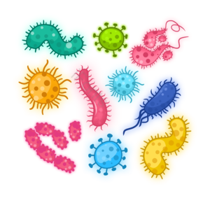 冠状病毒 病毒 细菌 微生物 感染 协和 显微镜 covid