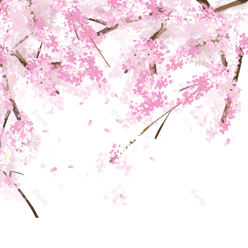 春季图片,花瓣元素,樱花PNG,粉色免抠素材