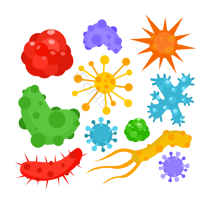 covid 19 医疗保健 医学的 冠状病毒 微生物 细菌 病毒