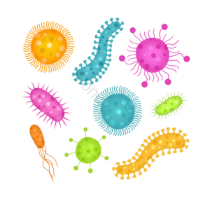 冠状病毒 微生物 细菌 病毒 医学的 covid 19 感染