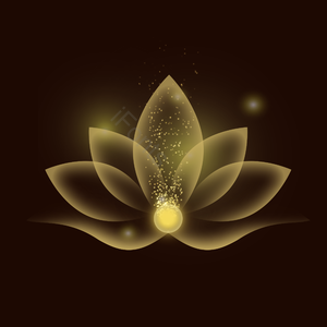 透明花 花呗 发光效率 白描白描荷花 发光的 卫塞克 火花 威萨克