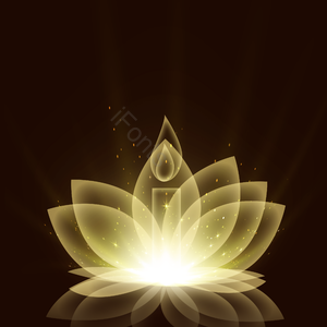 花 发光效率 莲花 发光的 卫塞克 曲线 庆祝 威萨克
