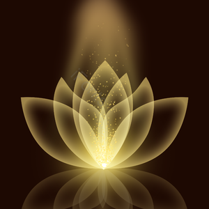 发光效率 莲花 发光的 卫塞克 花 幻想 补偿 凉液
