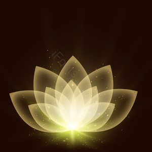 凉液 曲线 庆祝 黄色透明花 维萨克 威萨克 布达 卫塞